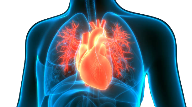 Cardiac Care
